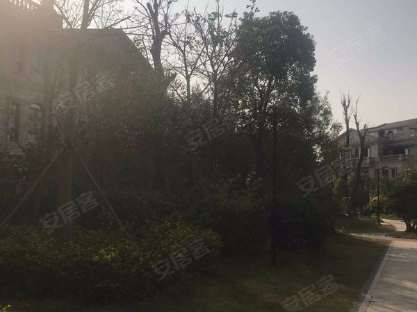 宝龙御湖官邸(公寓)户型图实景图片