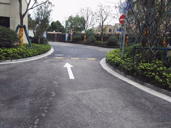 上海小区 松江小区 泗泾小区 金地褐石苑 实景图 1 30#xe