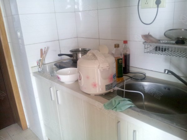 大都文苑风情,下沙租房,地铁口 精装跃层公主房