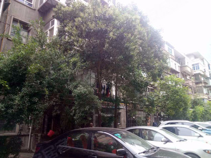 420x315m.jpg?t=1