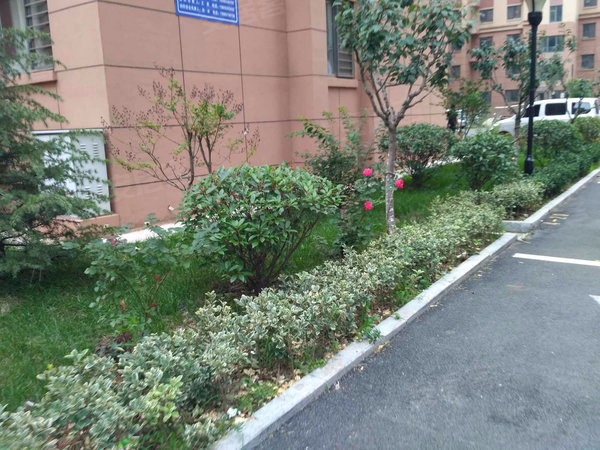 青岛小区 胶州小区 三里河小区 三里河文苑a区实景图 1 8&