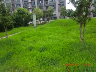 张浦玫瑰园,张浦玫瑰园地址, 张浦玫瑰园租房信