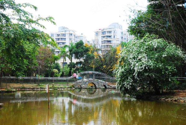 康桥花园二期 电梯精装两房看花园*来电即看
