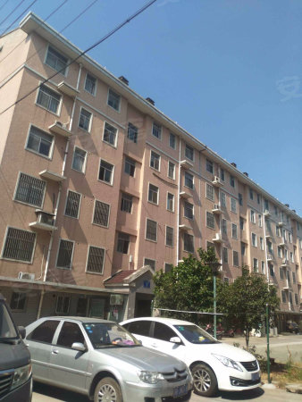 张泾镇中心 精装复式公寓 买,一层做两层优惠推出速抢配套成熟图片