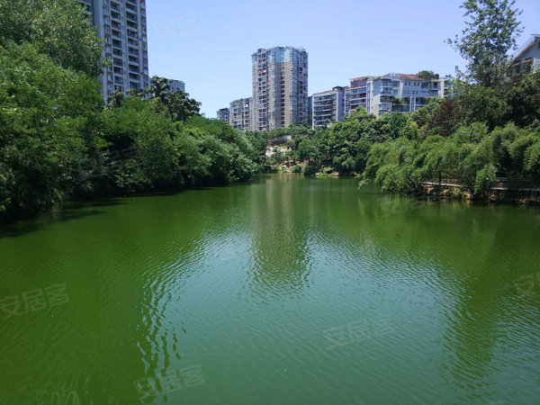 水木青华小小岛,长福路299号-重庆水木青华小小岛二手房,租房-重庆