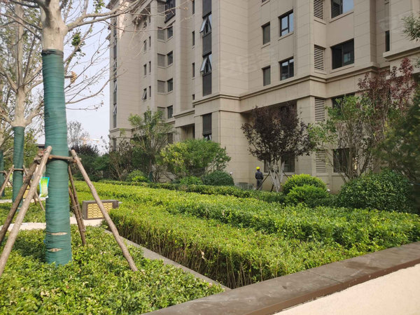 天津小区 塘沽小区 新城镇小区 塘沽湾中建城源和湾 实景图 1/ 14 &