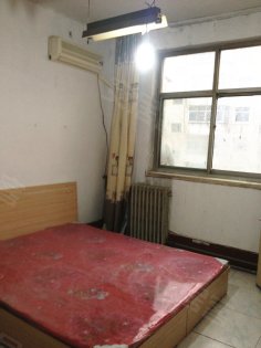 养护处宿舍(工农路),工农路租房,真图!一室只要