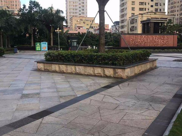 深圳小区 宝安小区 沙井小区 德馨苑 实景图 1 14#xe012