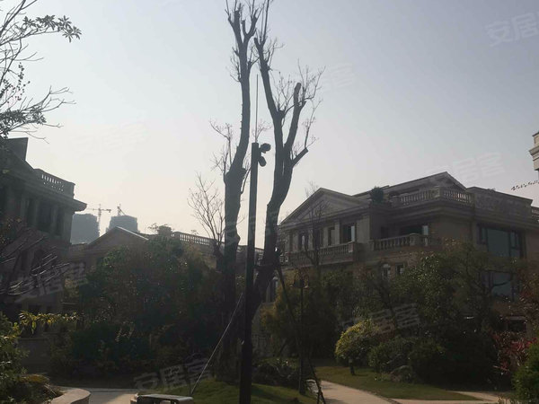 宝龙御湖官邸(公寓)户型图实景图片