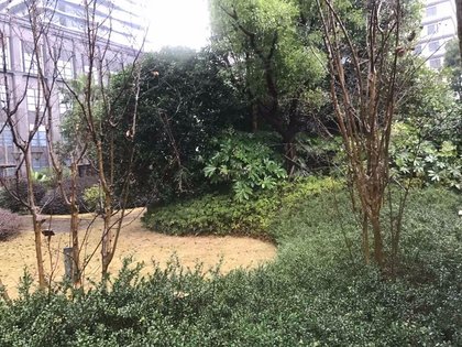 江尚户型图实景图片