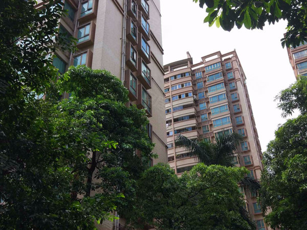 翠苑小区户型图实景图片