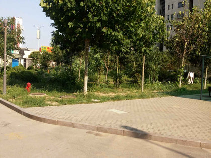 大金新苑人口_大金新苑幼儿园