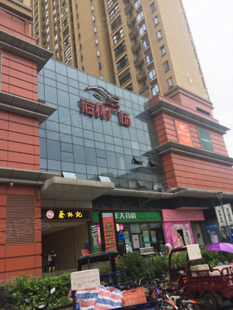 海林广场 房东急需资金周转 急卖 带定金看房 只接受全款!