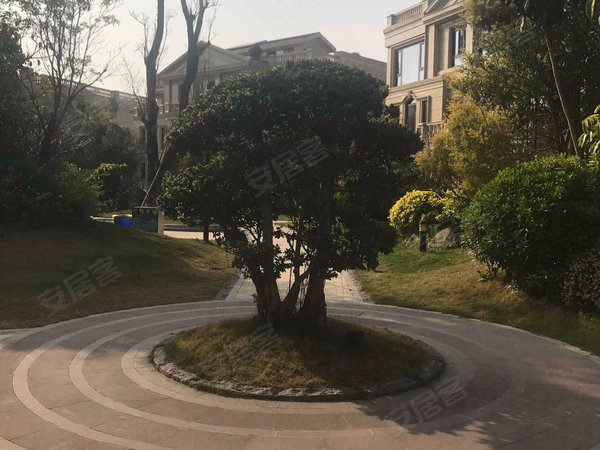 宝龙御湖官邸(公寓)户型图实景图片