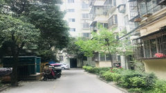 居业家园老总_美丽的家园绘画(3)