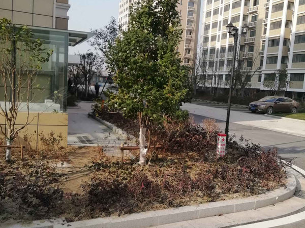泰州小区 泰兴小区 泰兴市区小区 凤梧雅苑  实景图 1/ 16  &