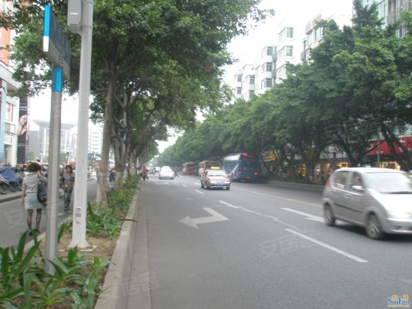 兰圃村人口_广州兰圃公园