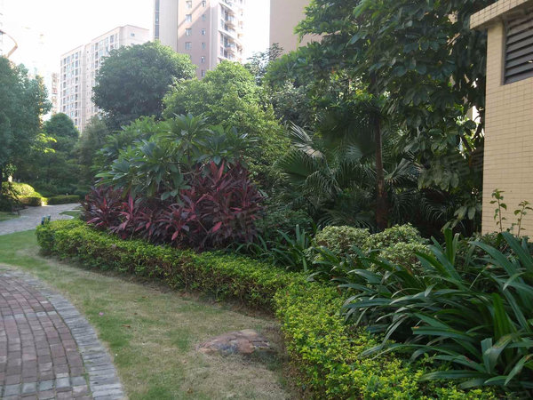 香樟林,望州南路188号 南宁香樟林二手房,租房,房价-南宁安居客