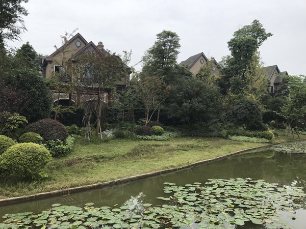 秀湖鹭岛