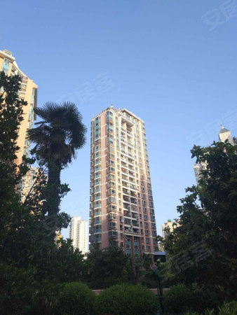 徽园对面东海星城次新房精工社双南两房全天采光