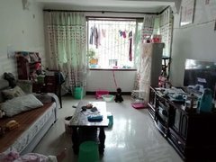 重庆人口在全国排名2020_世界城市人口排名2020