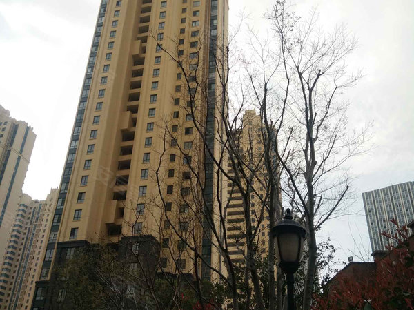 合肥小区 瑶海小区 瑶海万达广场小区 万达华府 实景图 1/ 30 