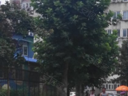 420x315m.jpg?t=1