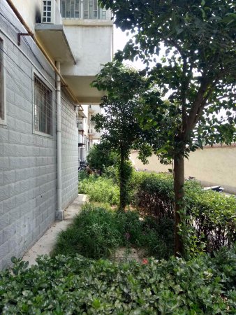 小3房 真实图片随时看房, 中铁青年职工住宅楼