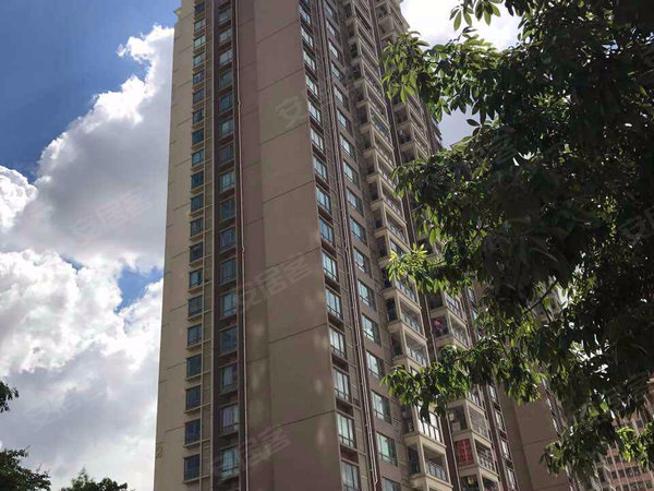 深圳小区 宝安小区 沙井小区 德馨苑 实景图 1 14#xe012