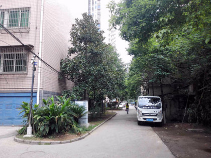 怡心花园人口_怡心花园平面图