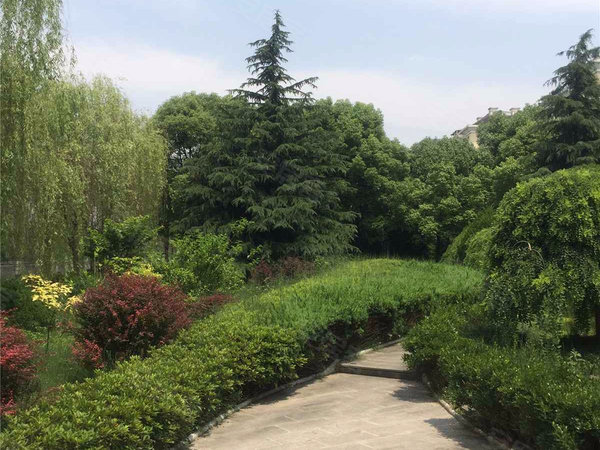 河畔花园