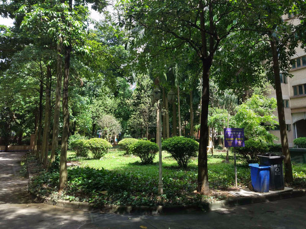 翠苑小区户型图实景图片