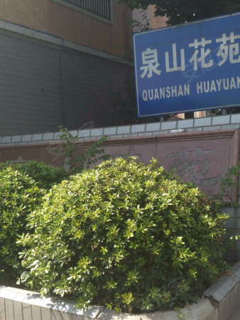 张泾镇中心 精装复式公寓 买,一层做两层优惠推出速抢配套成熟图片