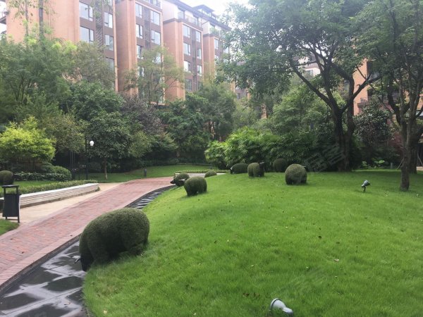 龙湖高品质小区 纯别墅区户型大气 近学校 交通方便 急售