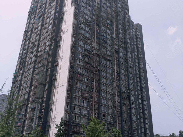 金城国际