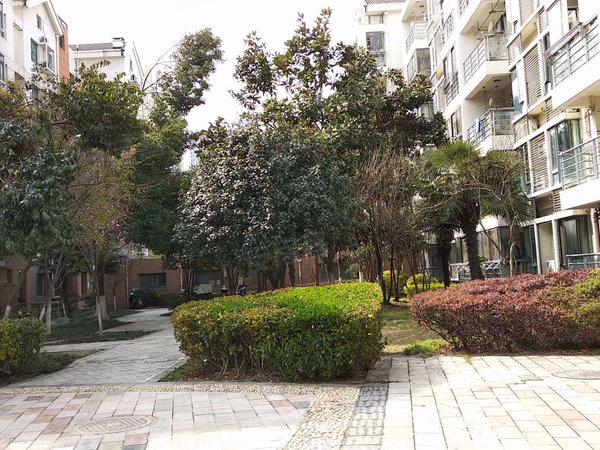 合肥小区 瑶海小区 大东门小区 置地栢景轩 实景图