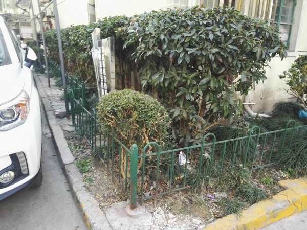 崂山新村,一房急售!紧邻地铁4号线,靠浦东的几