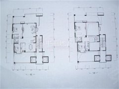 水榭花都(别墅)户型图,上海水榭花都(别墅)户型图大全,水榭花都(别墅)