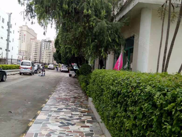 深圳小区 龙华小区 民治小区 馨园(一期 实景图 1 16#xe