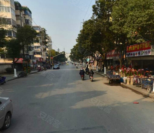 镇江小区 京口小区 桃花坞小区 桃花坞七区 实景图 1 5&