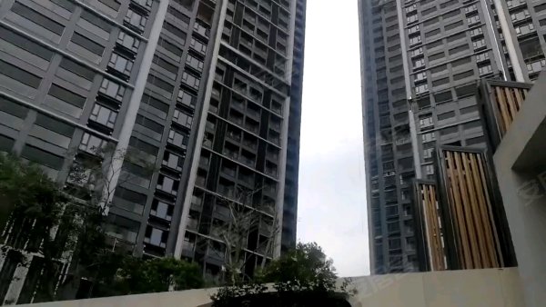 中洲滨海华府(商住楼) 福田-上下沙-椰树路