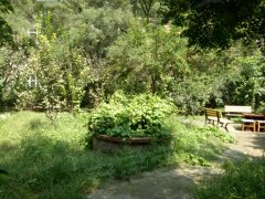 240x180.jpg?t=1