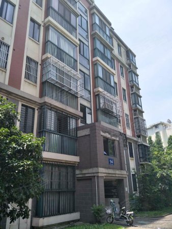仁和花园 精装修两房 采光无敌 首付40万 急售120万 !