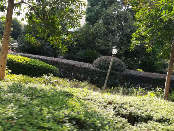 东泰家园,长江南路413号-宁波东泰家园二手房,租房-宁波安居客