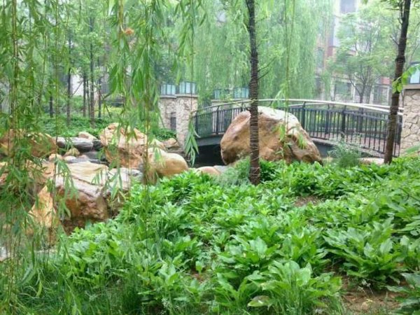秀水苑小区(别墅)