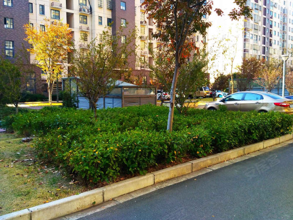 新城东苑三期电梯房4楼96平方二室全新装修开价99万光线特好