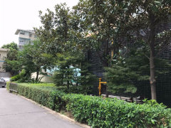湘江短剧与花都的魅力