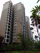和馨园a区图片相册,长沙和馨园a区实景图,室外图,小区