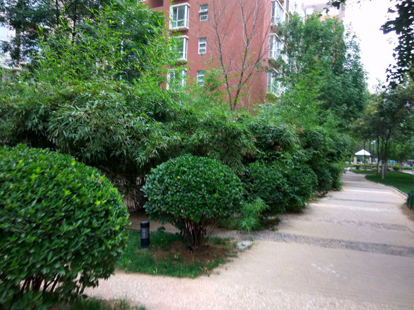 鑫苑中央花园东区,通泰路,近兴荣街-郑州鑫苑中央花园东区二手房,租房