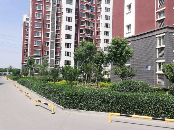 淄博小区 张店小区 美食街小区 新都花苑 实景图 1 14